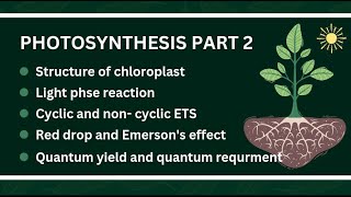 Photosynthesis Part 2 I Life Process I Nutrition In Plants I Biology [upl. by Ydal530]