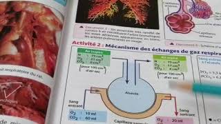 les échanges gazeux au niveau des poumons 3 AC BIOF [upl. by Anytsirhc]