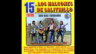 Los Halcones De Salitrillo  La Rafaelita  Amigo sa196 [upl. by Cadman]