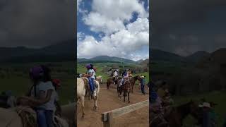 🤠🐎 tapalpa jalisco laspiedrotas mexico [upl. by Yarb]