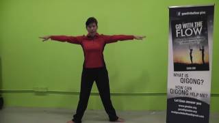 gina lim zhineng qigong sequence 7 1st part Body Mind Method [upl. by Ydniahs442]