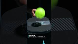 Is This The Quietest Pickleball Paddle In The World  Introducing the Hush by Diadem [upl. by Burrow]