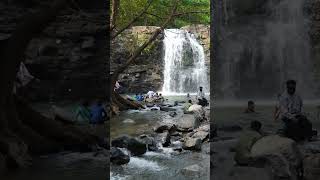 naturelovers WildlifePhotography NatureDocumentary ExploreNature NatureVideo ScenicViews dang [upl. by Colas]