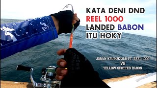 TRIDENTECH ft CAPUNG 622 VS YELLOW SPOTTED TREVALLY BABON  extreme ULTRA LIGHT JIGGING [upl. by Merril]