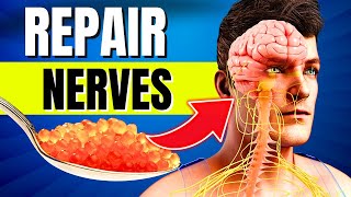 10 Foods That Can Miraculously Heal Nerve Damage [upl. by Warde]