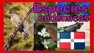 Especies endémicas de la República Dominicana  plantas y animales ENDÉMICOS 📕 ▶️ [upl. by Feldman]