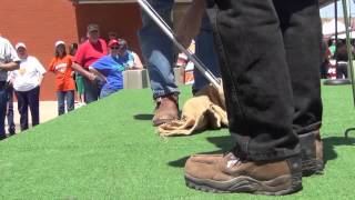 Rattlesnake Sacking Demonstration in Mangum OK 2013 [upl. by Claman]