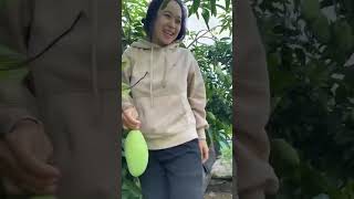 Maling mangga with friends haha vlog bestie mangga [upl. by Elahcar]