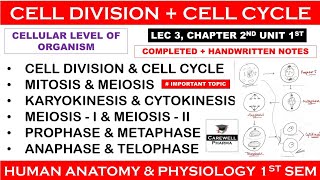 Cell division  Cell Cycle  Mitosis  Meiosis  L3 Ch2 Unit 1 hap 1st semester  Carewell Pharma [upl. by Giselle]