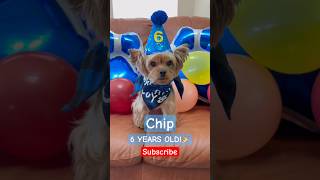 HAPPY BIRTHDAY Chip🎉6️⃣ [upl. by Siobhan]