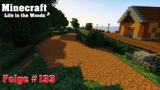 Minecraft Life in the Woods 133  Kutschenhof und Decocraft [upl. by Etan]