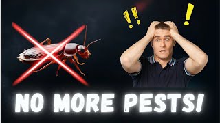 Getting Rid of Pests  Top 10 Myths Busted [upl. by Ilohcin]