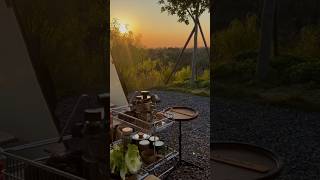 Camping in the Wilderness Nature at Its Best [upl. by Busey]