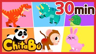 30 min de Dinosaurios y Animales  Van al Baño  Canciones Infantiles  ChitaBú [upl. by Aixela159]