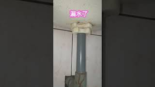 廁所高水箱漏水 安排時間處理 水電 [upl. by Nautna]