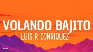 Luis R Conriquez  Volando Bajito Lyrics [upl. by Papp]