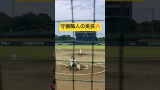 守備職人の美技🔥 内野守備 守備職人 内野手 hoodsta フッドスタ 草野球 軟式野球チーム [upl. by Hershell778]