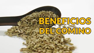 Beneficios del Comino [upl. by Enttirb]