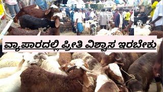 the last episode of tumakuru sheep and goats market  agrianimals [upl. by On155]