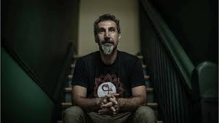 Serj Tankian remains open to a new System Of A Down album 2024 [upl. by Coniah]