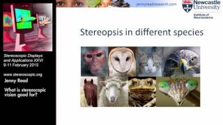 SDampA 2015 Keynote What is stereoscopic vision good for 939149 [upl. by Haze]