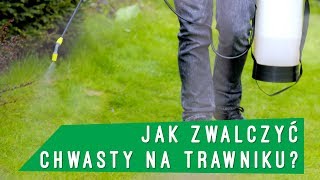 Jak zwalczyć chwasty na trawniku Niech żyje ogród XNEWSPL [upl. by Selrhc]