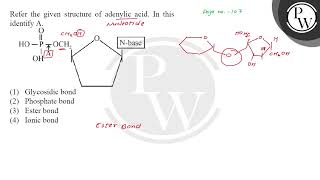 Refer the given structure of adenylic acid In this Page no 107 identify A [upl. by Lichter182]