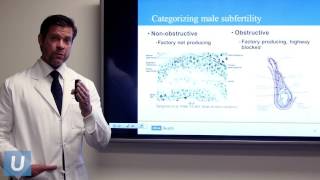 Optimizing Male Fertility  Jesse Mills MD  UCLAMDChat [upl. by Naehgem123]