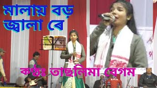 Malai Boro Jala reমালায় বড় জ্বালা রেTaslima Begum [upl. by Githens]