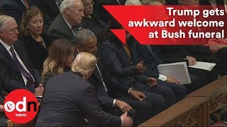 So awkward Donald Trump gets a very frosty welcome from Obamas and Clintons at Bush funeral service [upl. by Debee]