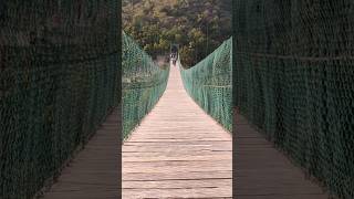 Suspension Bridge in Bihar shorts travel rajgir zoosafari [upl. by Nazario208]