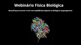 Webinário Física Biológica  Branching structures From nonequilibrium physics to biological orga [upl. by Epilihp342]