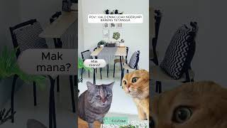 POV  KALO EMAK UDAH NGERUMPI BARENG TETANGGA fyp kucinglucu pov emakemak memekucing bananacat [upl. by Jorrie86]