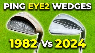 CAN THIS RADICAL WEDGE DESIGN FROM 1982 STILL SAVE YOU SHOTS Retro Review [upl. by Ehman]