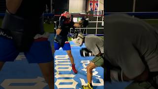 SPARRING AT THE BOXING GYM [upl. by Fishback]