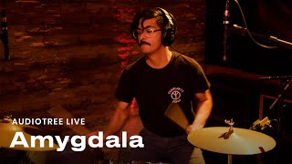 Amygdala  It May Be Those Who Do Most Dream Most  Audiotree live [upl. by Thgiled743]