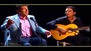 Manuel Cuevas interpreta tangos en quotFlamencosquot  Flamenco en Canal Sur [upl. by Anhsirk369]