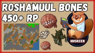 Roshamuul Bones East  450 Paladin  Tibia [upl. by Ellainad]