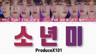 【ProduceX101】소년미 少年美Boyness〈かなるび歌詞日本語訳〉ファイナル デビュー評価 [upl. by Ericksen303]