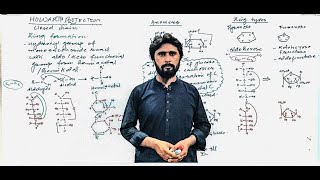 L04 Howarth projection Biomolecules [upl. by Aihsatan744]