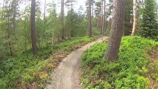 Anagach Woods MTB Trails Grantown on Spey [upl. by Yannodrahc]