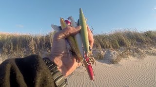 My BEST TOP 5 FALL STRIPED BASS SURF FISHING LURES of 2019 [upl. by Flossi]