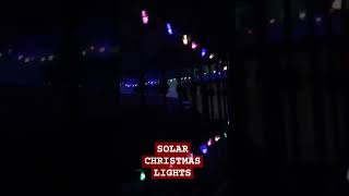 SOLAR CHRISTMAS LIGHTS shortsvideo [upl. by Knight132]