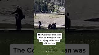 Bison Gores Yellowstone Visitor [upl. by Samohtnhoj]