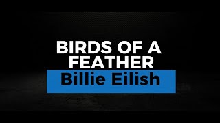 BIRDS OF A FEATHER KARAOKE BILLIE EILISH [upl. by Adnorhs937]