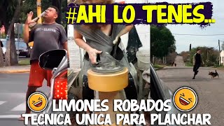 LIMONES ROBADOS TECNICA UNICA PARA PLANCHAR AHI LO TENES AL PELOTUD😂 [upl. by Noiz]