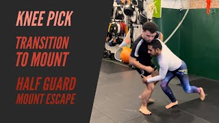 Knee Pick  Transition to Mount  Half Guard Mount Escape [upl. by Ijies]