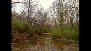 Frogs And Crickets Relaxation HD  Relax with Nature sounds Yoga Sleep [upl. by Shelley]