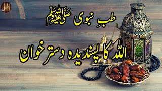 Allah Ka Pasandeeda Dastarkhwan  Tib e Nabwi  Ramadan Kareem  Islam  HD Video [upl. by Neve]