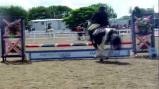 Trailblazers Show jumping Championships 65cm 28712 [upl. by Orlov]